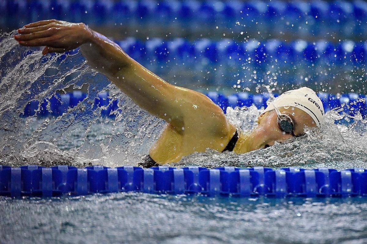 NCAA women's swimming and diving